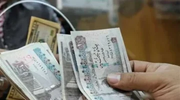 تفاصيل جدول الحد الأدنى للأجور لجميع الدرجات الوظيفية من السادسة للممتازة